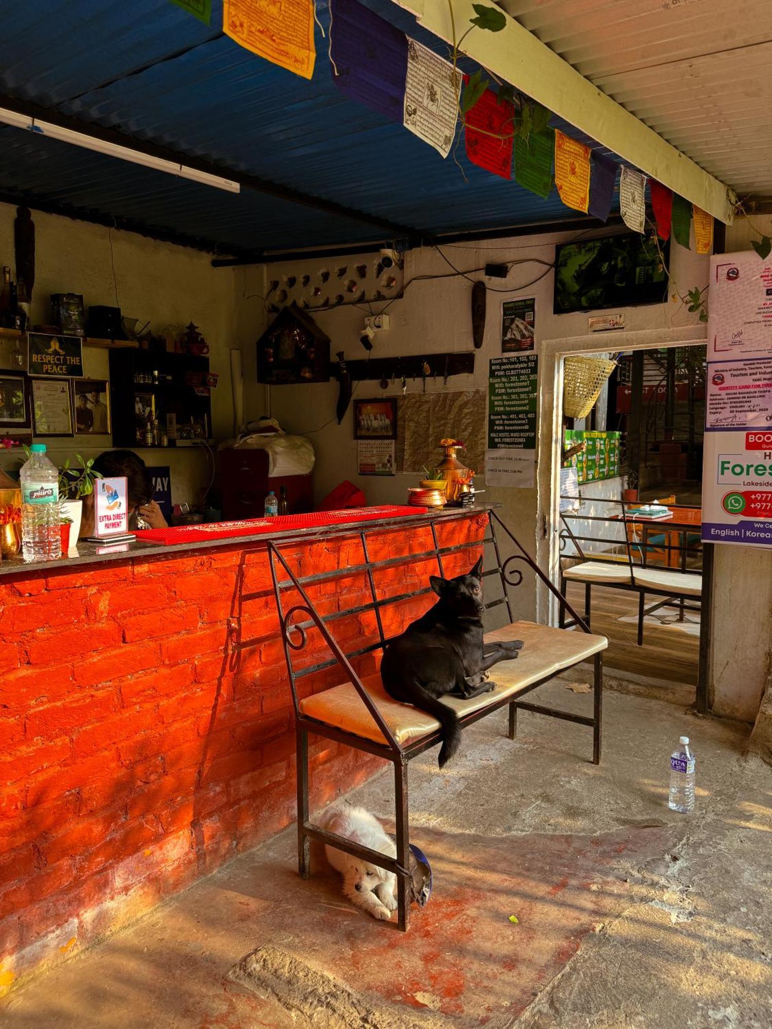 Hotel Forestway Hostel & Backpackers Pokhara Eksteriør bilde